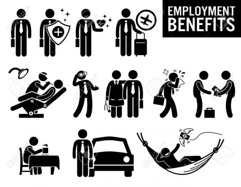 Buy Essay on Employee Benefits