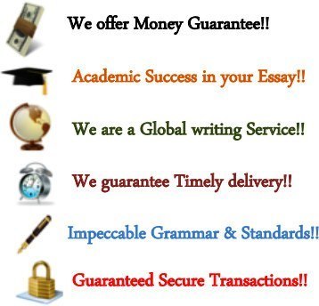 Essay writing services review 8 inch