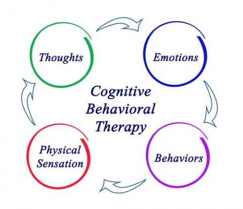Research Paper on Cognitive Behaviour