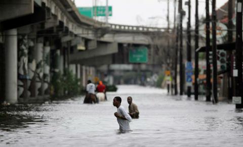 Buy Essay on Hurricane Katrina