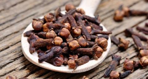 Buy Essay on Cloves