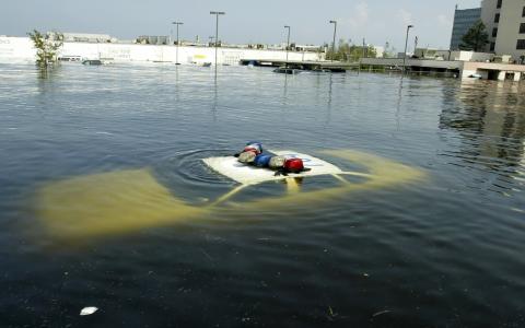 Writer Paper on Hurricane Katrina