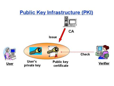 Public Key Infrastructure (PKI) & Identity Theft Essay Samples ...