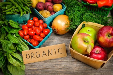 Essay on organic food
