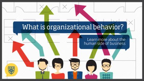 SOCIAL RESPONSIBILITY AND UNETHICAL ORGANIZATIONAL BEHAVIOR