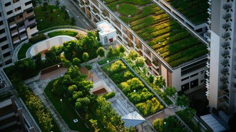 URBAN AGRICULTURE ROLE IN SUSTAINABLE CITIES